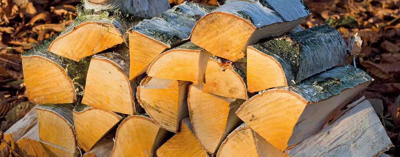 Umweltfreundlich mit Holz heizen